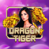 Dragon Tiger table game 5 casino